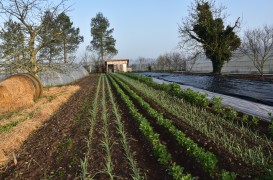 La ferme Epibole - Dordogne