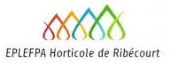 EPLEFPA HORTICOLE DE RIBECOURT